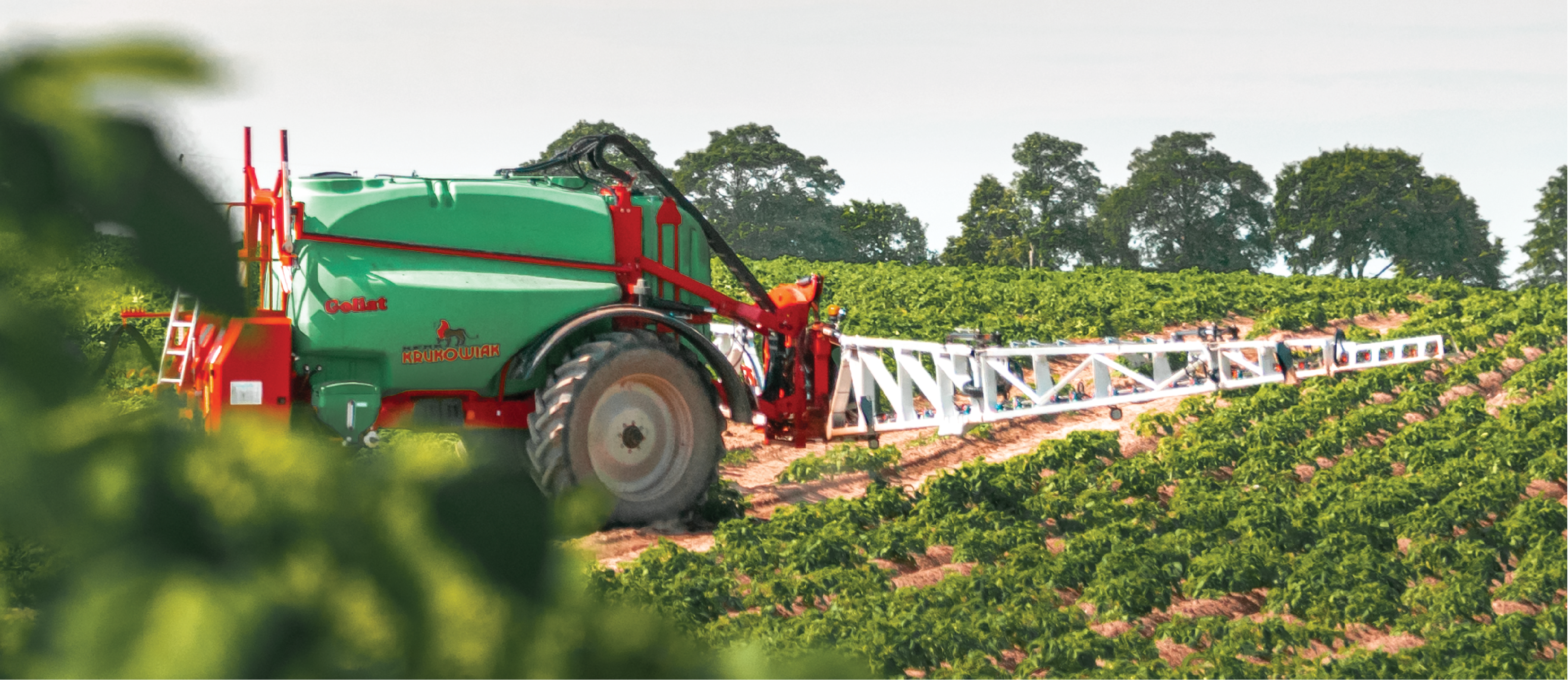Nawozy Krasnystaw oraz sklep stacjonarny ze środkami ochrony roślin
  