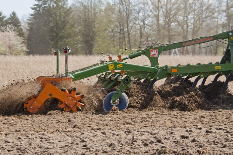 Cenius_3002_d0_IMG_8764