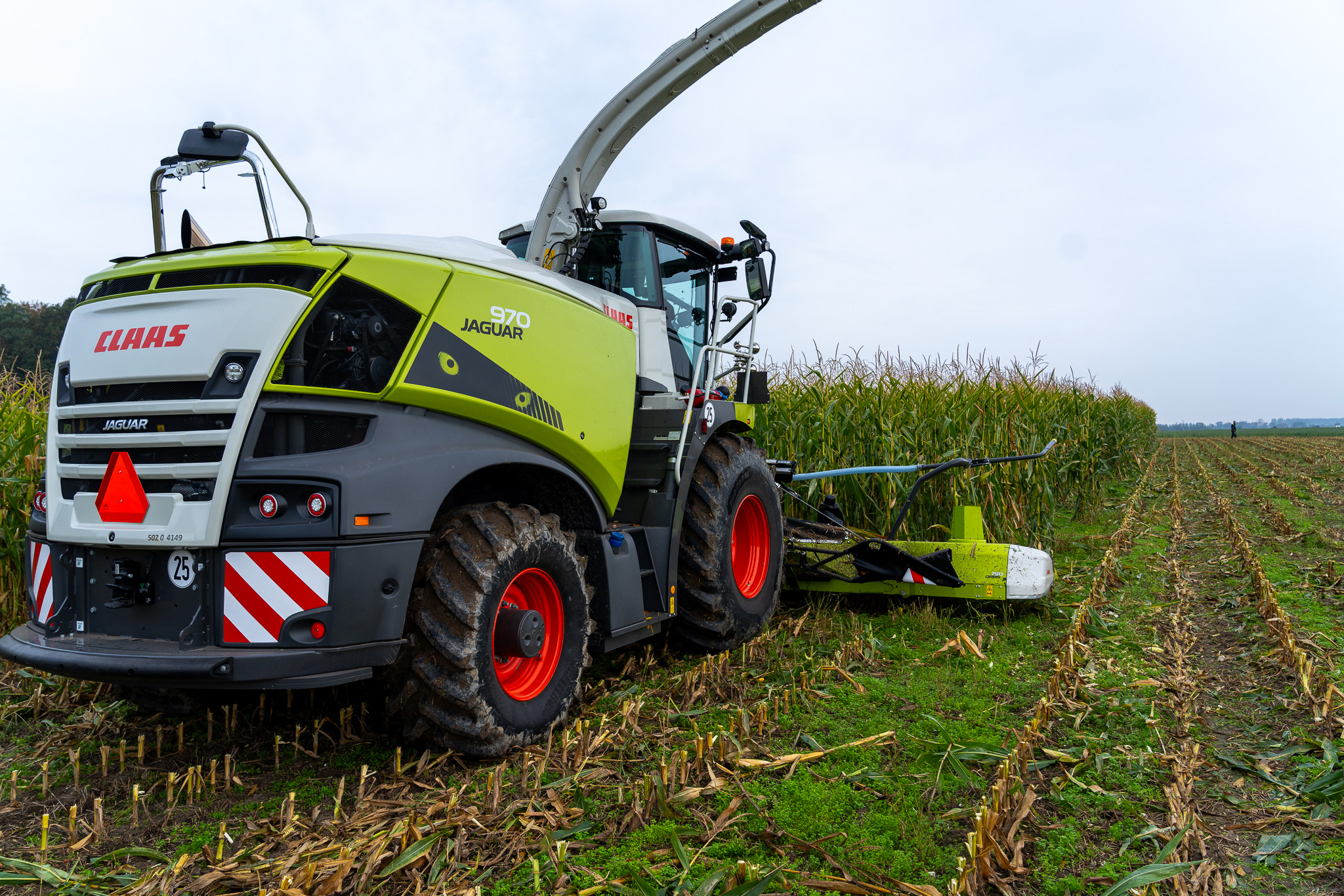 Kopia DSC03983 (1) kopia